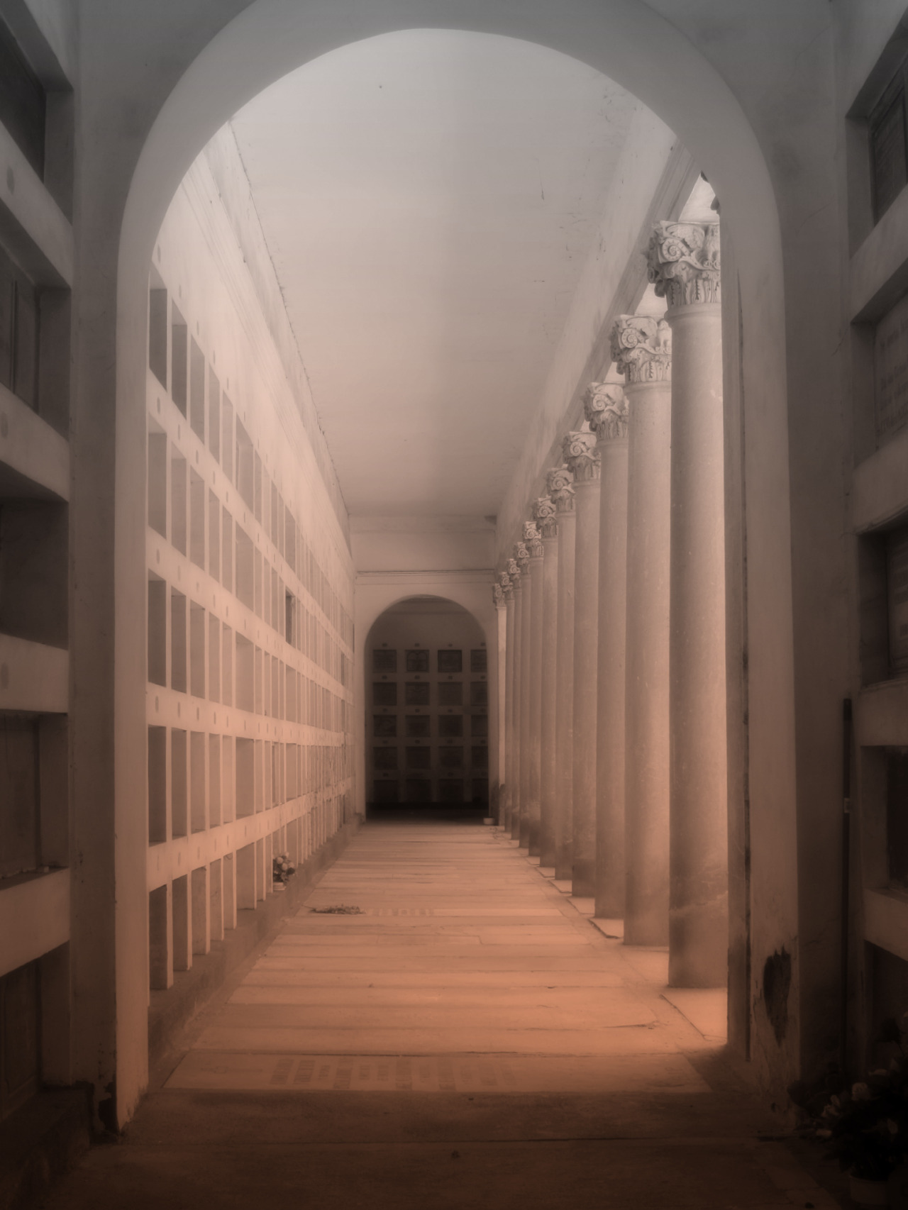 laurabfernandez:  Quiet halo. A small compilation from my cemetery photowalks in