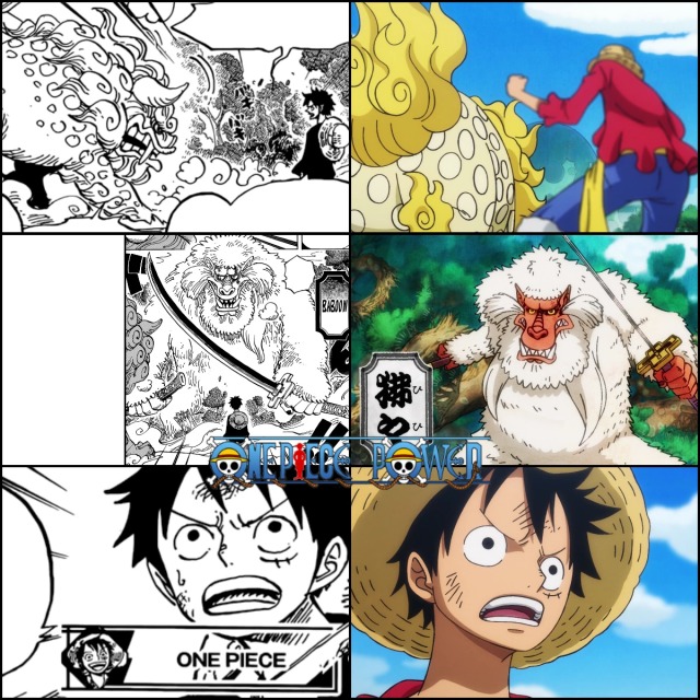 One Piece Chapter 911 Tumblr