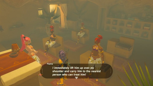 zferolie:  Gerudo Classes on how to interact with Voe Part 1. I love this game so much thanks to scenes like this. Risa you are trying so hard.