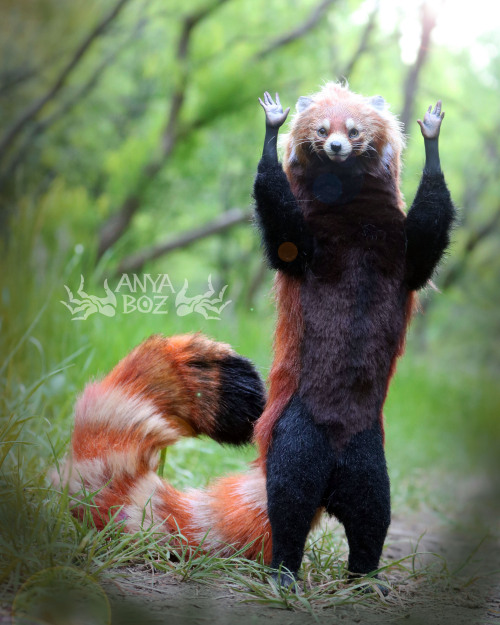 Red Panda Room GuardianFor Auction This is quite possibly the cutest room guardian I have ever made,