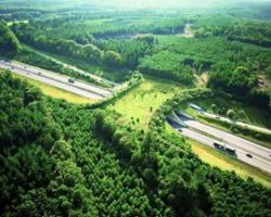 thestage1408:  This is a wildlife bridge in the Netherlands. Wildlife bridges are designed to help animals cross busy highways in safety. They don’t just protect wildlife from being hit by cars - they also connect fragmented habitats and help populations