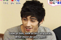 :  Endless List of Favorite Zarry Moments: Zayn & Harry compliments on each other’s physical features. 