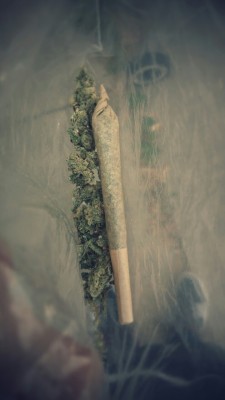 blowmelikekushhh:  Yumm