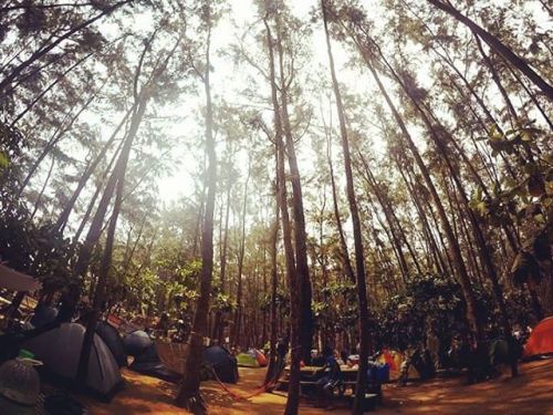 No virtual reality, just nature at the camp. (at Anawangin Cove, Zambales)