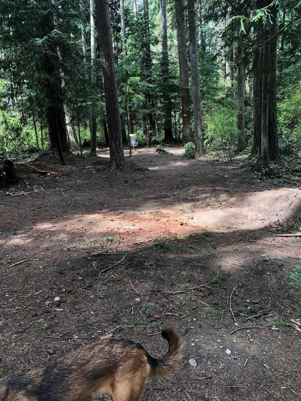 Not having the best day so went and watched the roomies play disc golf for a bit