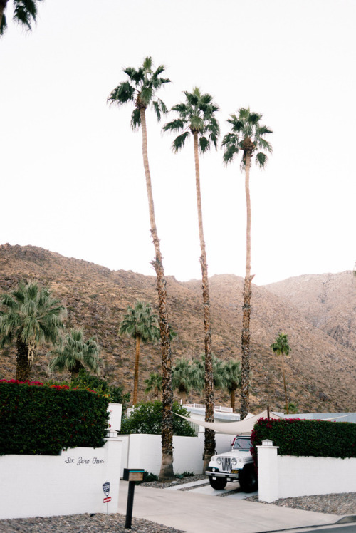 joelzimmer: Old Las Palmas Palm Springs, California living in a dream