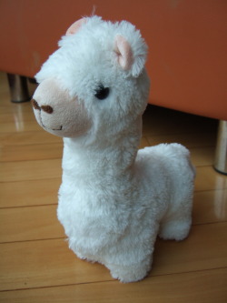  The Grass Mud Horse or Cǎonímǎ (草泥马),