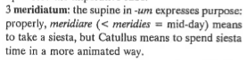 thepassiveperiphrastic:gotta love creepy catullus commentaries