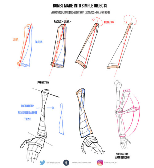 kasiaslupecka:  This week I’ve prepared some tips for everyone who is confused with arms. I know that pronation and supination is confusing and I recommend to learn in by heart <3  I have also announcement! The day is approaching when I will release