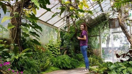 11.5.17 - It’s me - in all my glory inside a greenhouse :)