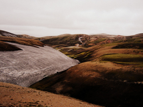  Hlaus  Iceland, 2011 