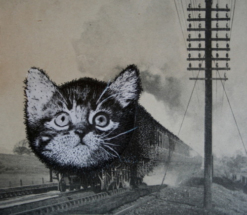 loladupre:4 X mixed media cat collagesVarious years and dimensionswebsite | ello | Behance | instagr