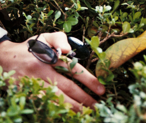 bonjourcamila:  Not my Hands - Camila Gaspardo A collection of details from portraits of friends and family members I’ve taken across the years