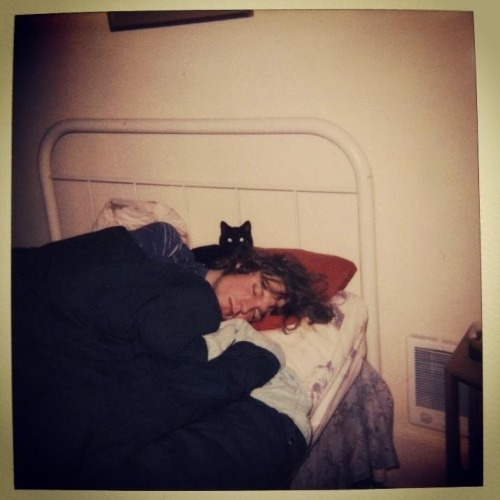 danirayn99:Kurt Cobain + Cats = perfection 
