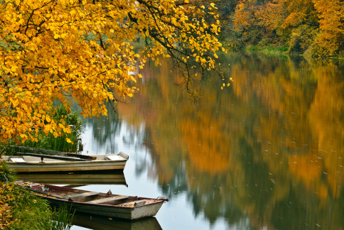 Contemplation at river by dellafels on Flickr.