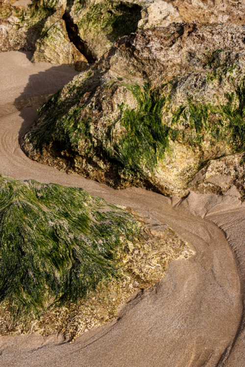 North Shore, Oahu
For last 6 months, I’ve been saving up for a new DSLR. I was back and forth on which model and finally I decided on the Canon 70D. The other day I headed up to the North Shore to play with my new toy! I’m really happy with it and...