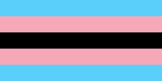 TDOV - History of the Trans Pride Flag