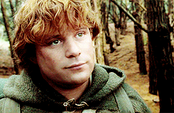  “Samwise the Brave.” 