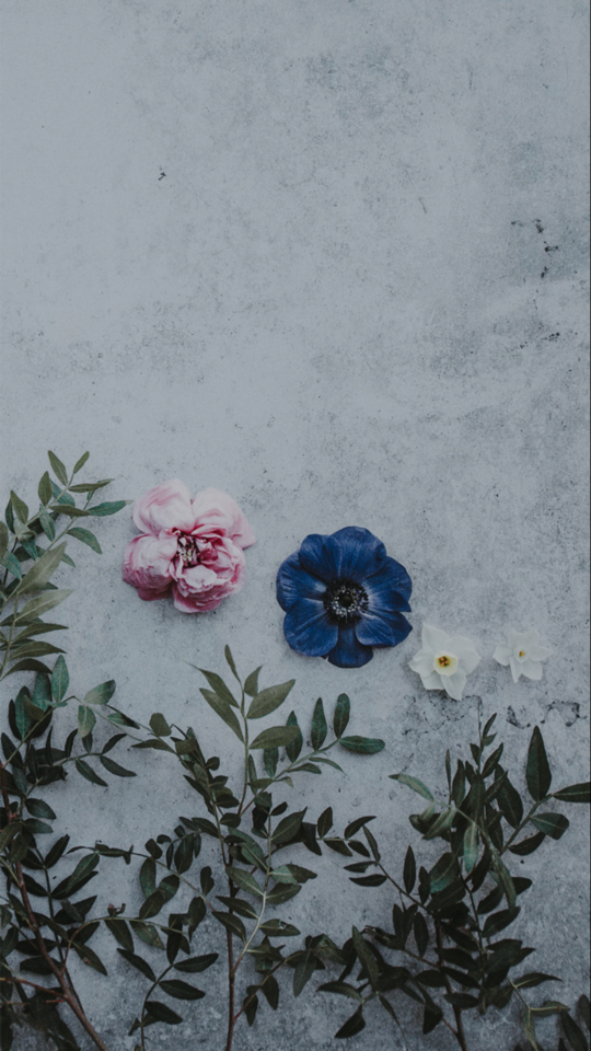 FLORAL I DON’T OWN OR TAKE ANY CREDIT FOR ANY OF THESE PICTURES PLEASE LIKE IF YOU SAVED ANY OF THESE