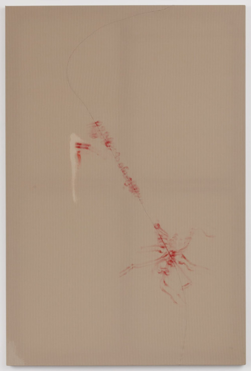 casualist-tendency:Leda Bourgogne (Austrian, b. 1989), Skinless, 2018, 195 x 130 x 2.7 cm
