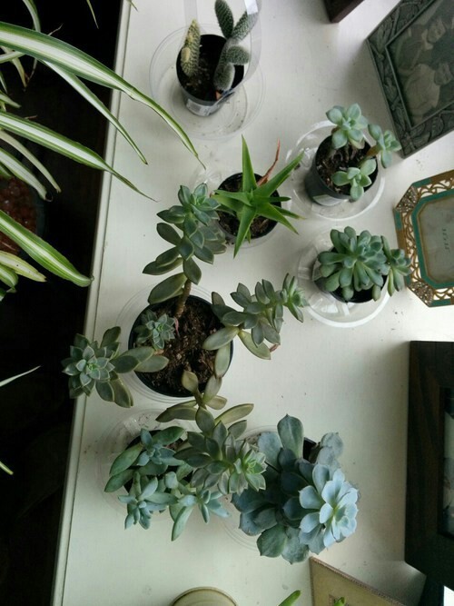 Je Devais Partager Ceci @WeHeartIt Http://weheartit.com/entry/169130896/via/havealreadydi