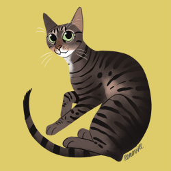 reimenaashelyee:Pet portraits