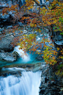 sublim-ature:  Cañón de Añisclo, SpainSource