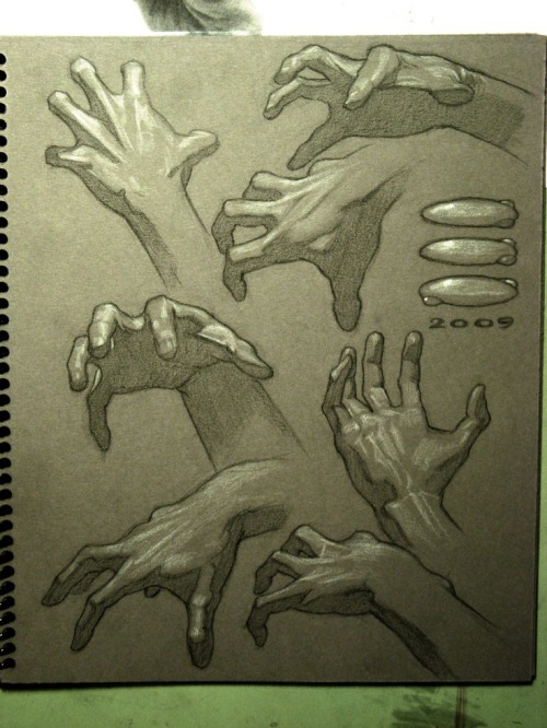 fucktonofanatomyreferences:  A super fuck-ton of knuckle/hand references (per request).
