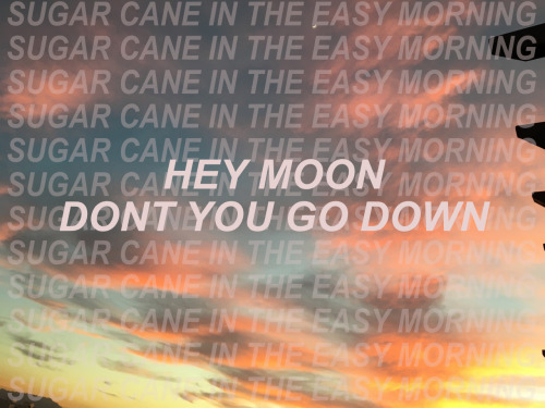 blinkback:northern downpour / p!atd