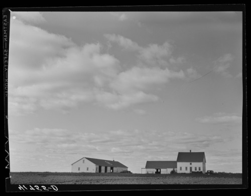 Workers at oneof the farms of the Woodman Potato Company, eleven miles north ofCaribou (Maine, 1940)