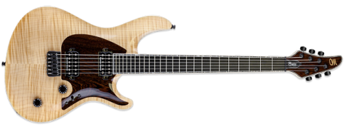 New for 2018 Mayones Regius CoreGuard 6 added to their Master Builder Collection (MBC) the special d