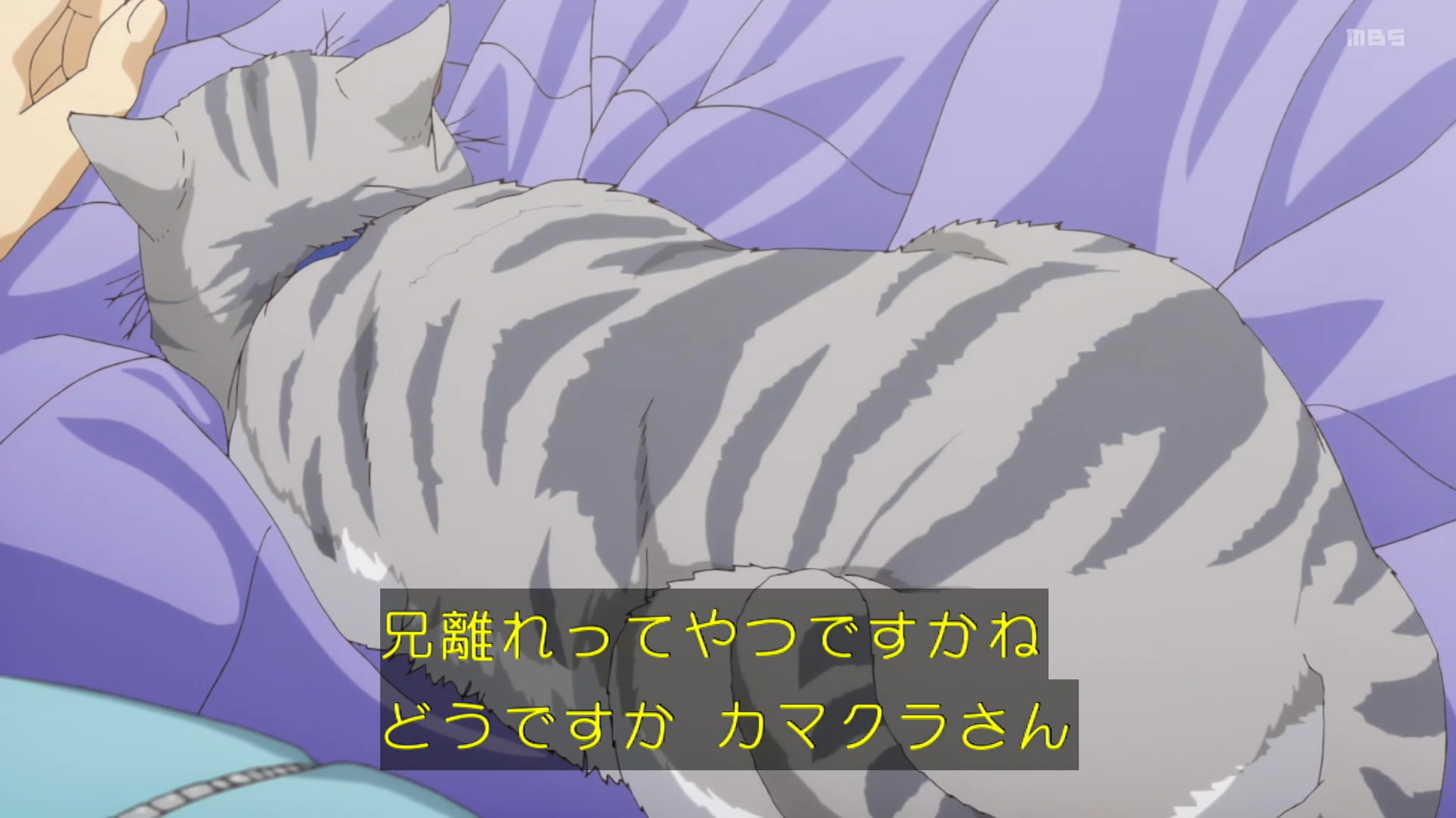 やはり俺の青春ラブコメはまちがっている 続 Explore Tumblr Posts And Blogs Tumgir やはり俺の青春ラブコメはまちがっている 続 Explore Tumblr Posts And Blogs Tumgir