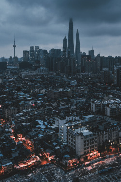 captvinvanity:      Urban Jungle    | Photographer | CV