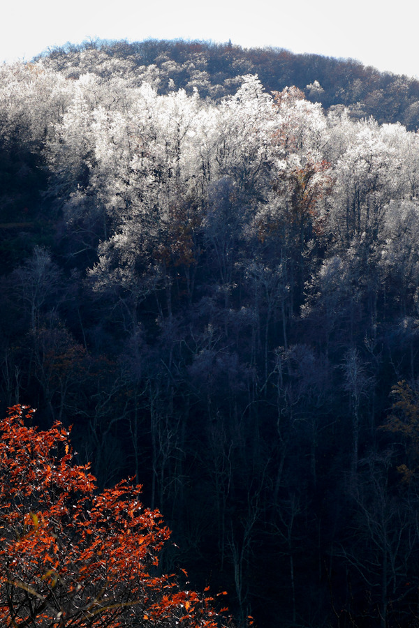 theencompassingworld:  hueandeyephotography:  Autumn Ice Storm, Blue Ridge Parkway,