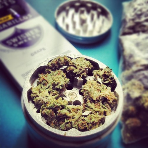 http://blowmelikekushhh.tumblr.com/post/127184495884