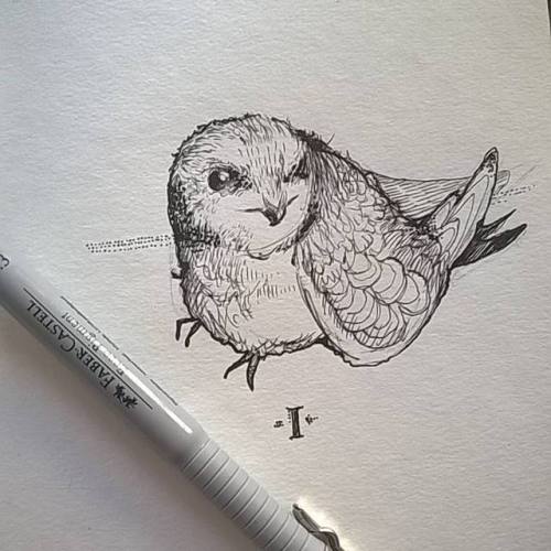 This birdie was the prettiest thing I found on Google after typing “swift”, so let him o