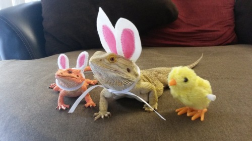 XXX thingsonmydragon:Easter Posse photo