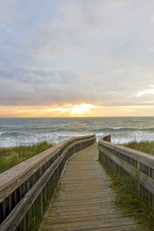 ilaurens:  Summer Arrives - By: (Rick Anderson)
