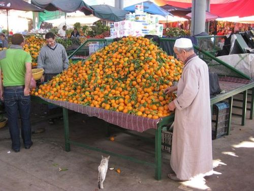 Oranges for sale, Agadir