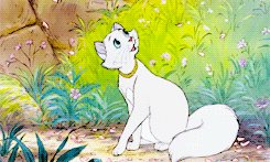 lady-arryn: Everybody wants to be a cat. Because a cat’s the only cat who knows