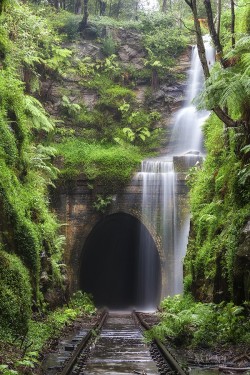 woodendreams:  Illawarra, Australia (by William