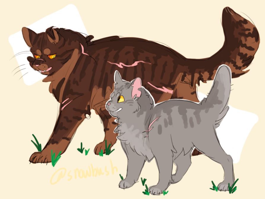 Tigerclaw and Ravenpaw