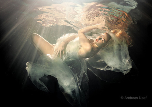 Underwater Fashion Nr3 by studioneef on Flickr at https://flic.kr/p/qxKZnK