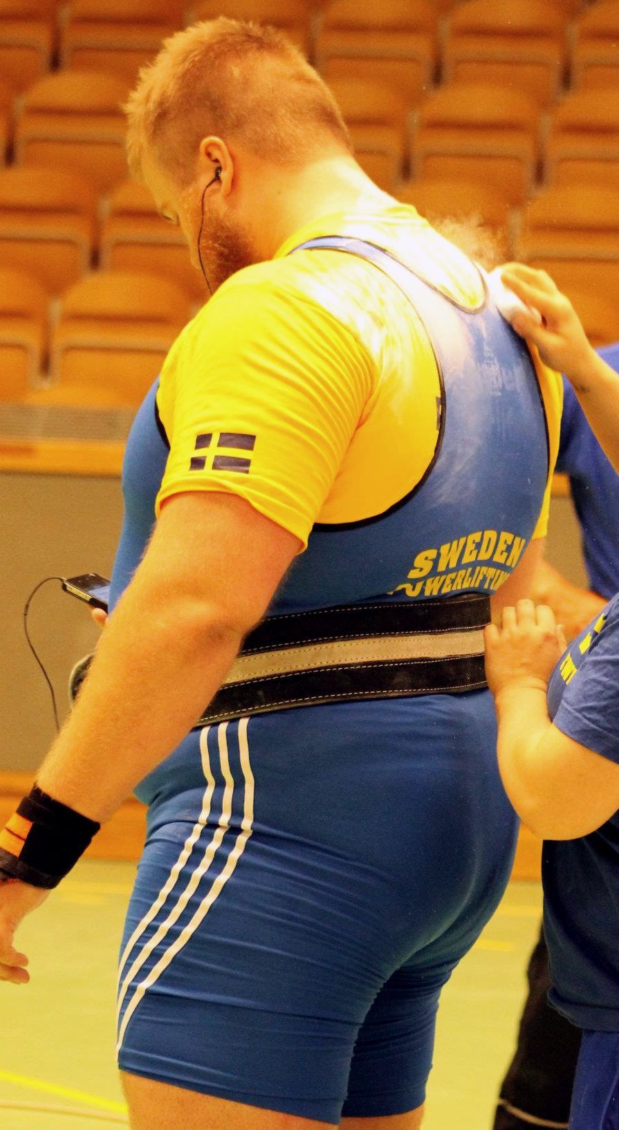 justbulls:  Bull Butt