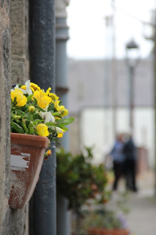 Footdee | Aberdeen, Scotland