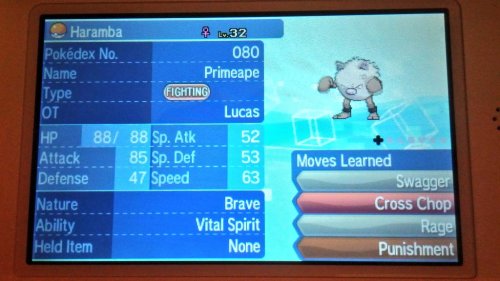   i just got a female primeape over gts named porn pictures