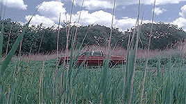 seydous-deactivated20151028:  Requiem for a Dream (2000) dir. Darren Aronofsky 