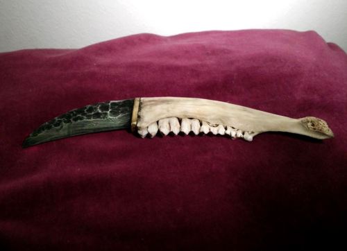 fightsteelwithfire: Textured damascus steel blade in roe deer’s jaw bone. One special item I m