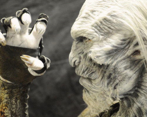 kipkinkels-deactivated20140129:  Details of the White Walker special effects make-up.