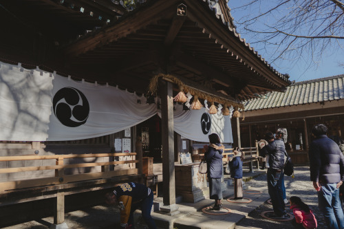 『御神木』sony a6400 + SIGMA 16mm F1.4 DC DN | Contemporary2022.01.05location : 静岡県 Shiuoka, Japan神社、事任八幡